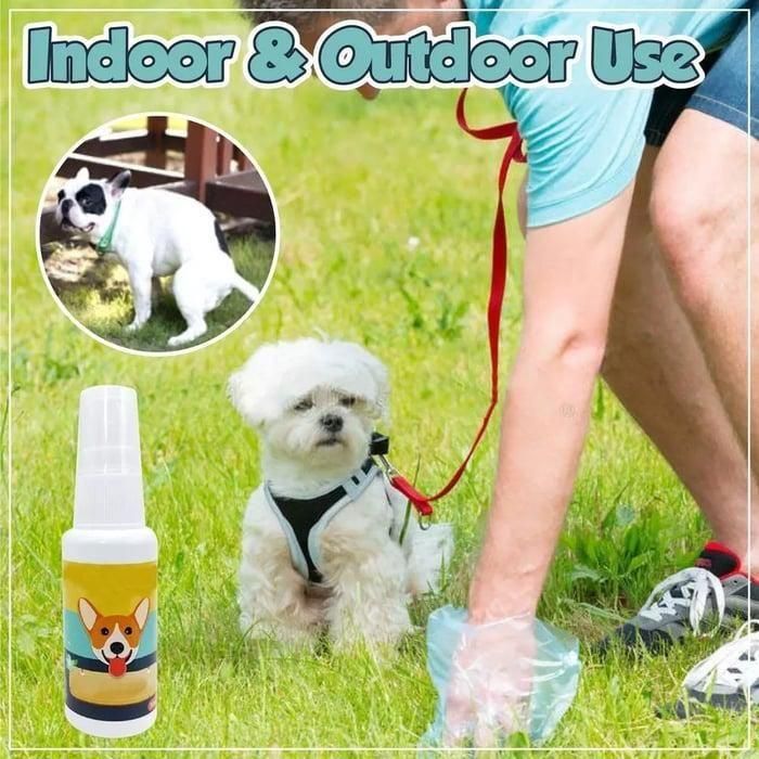 Natural Potty Training Spary for Dog & Cat (Pack of 2) 30ml each